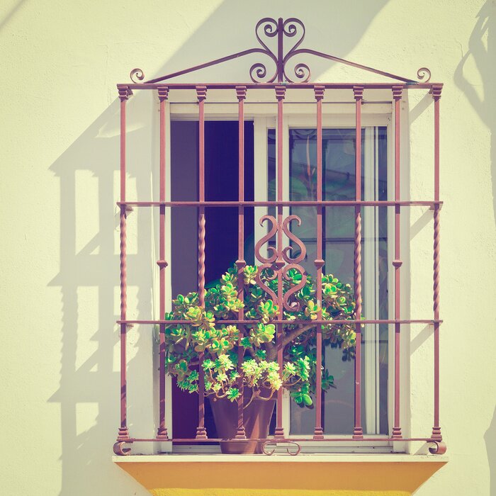 Papier peint  Plante sur une fenêtre derrière des barreaux