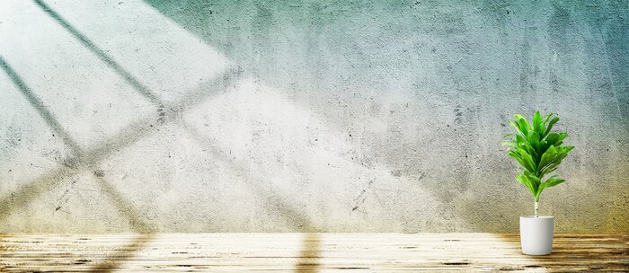 Papier peint  Plante verte devant un mur de béton