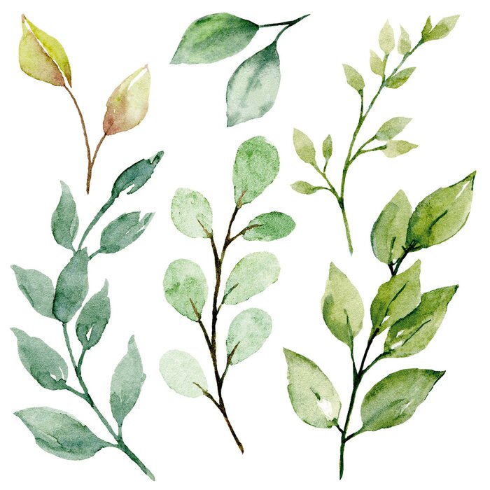 Papier peint  Plantes aquarellées en gros plan
