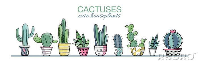 Papier peint  Plantes cactus graphiques