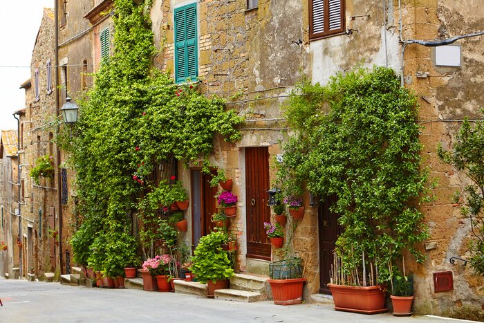 Papier peint  Plantes colorées ruelle ancienne