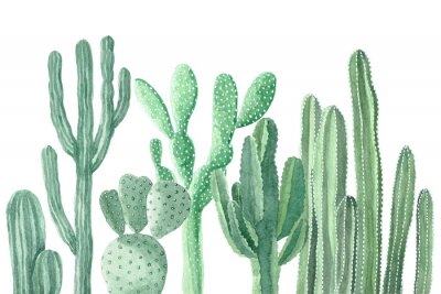 Papier peint  Plantes de cactus peintes à l'aquarelle