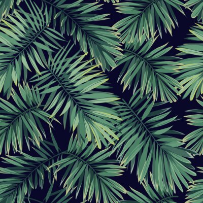 Papier peint  Plantes de la jungle tropicale