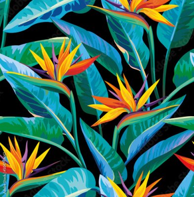 Papier peint  Plantes de strelitzia tropicales sur fond noir