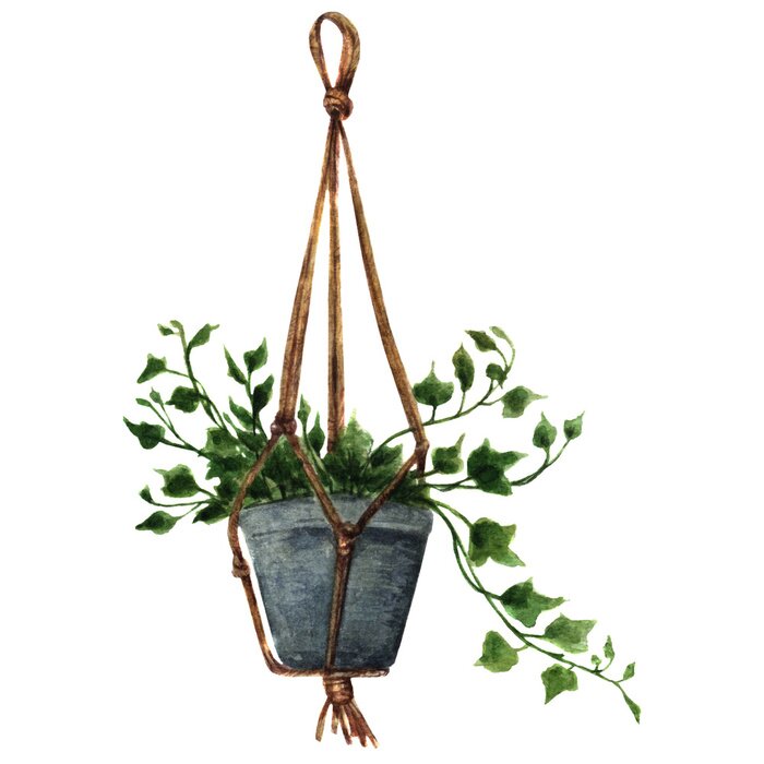 Papier peint  Plantes en pot aquarellées