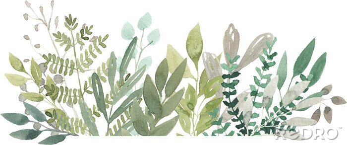 Papier peint  Plantes et feuilles en aquarelle