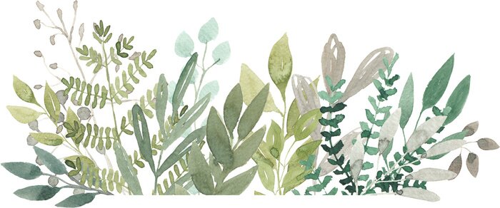 Papier peint  Plantes et feuilles en aquarelle
