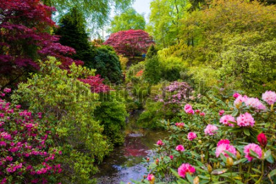 Papier peint  Plantes et fleurs dans le jardin botanique