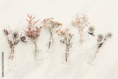 Papier peint  Plantes et fleurs sauvages dans des vases sur fond blanc
