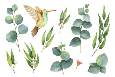 Papier peint  Plantes et oiseaux