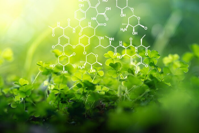 Papier peint  Plantes et structure biochimique