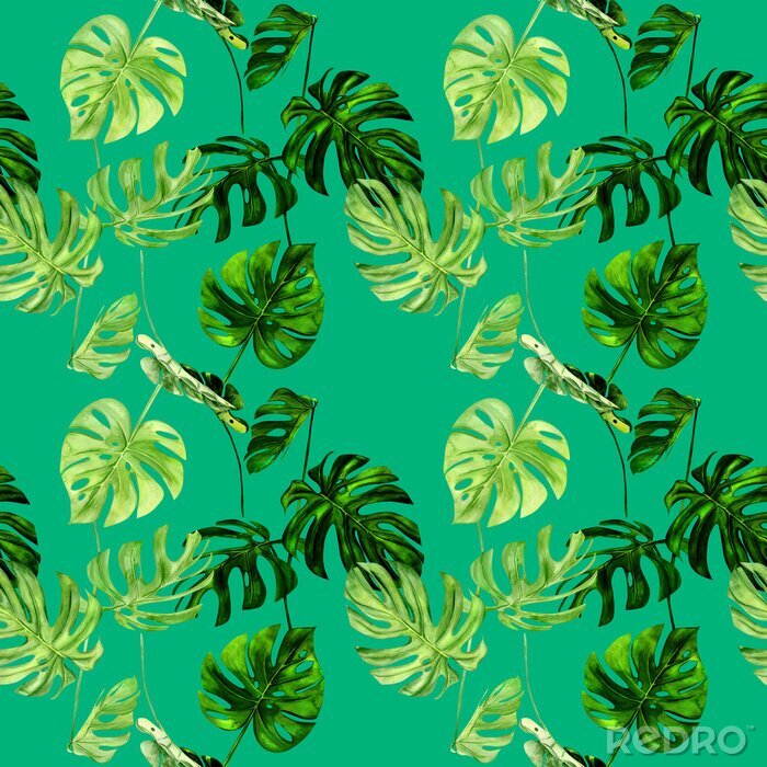 Papier peint  Plantes exotiques dessinées sur vert intense