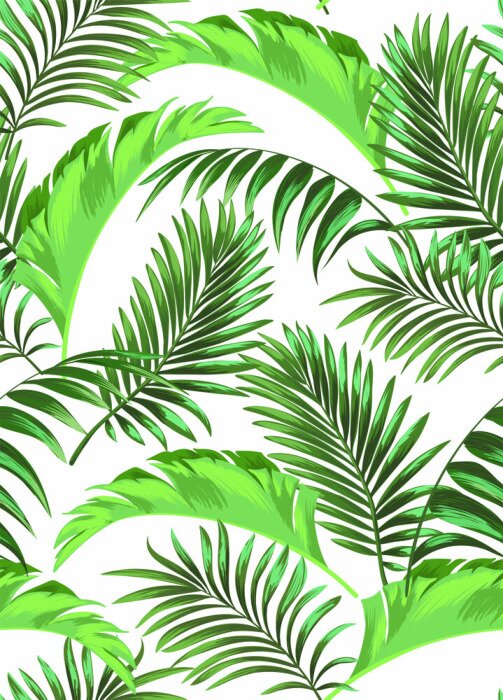 Papier peint  Plantes exotiques sur fond blanc