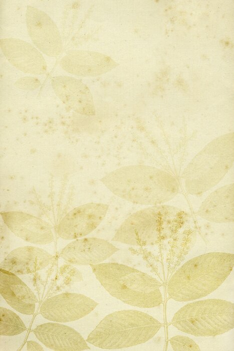 Papier peint  Plantes floues fond rétro