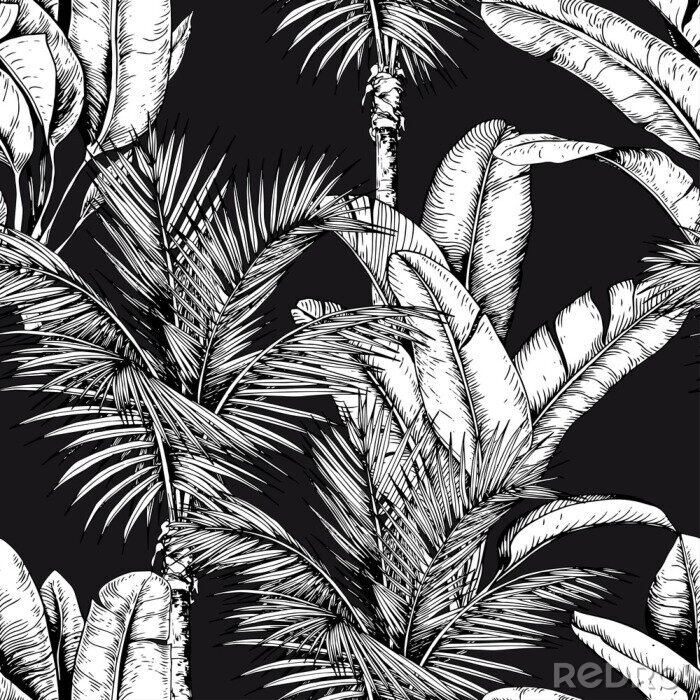Papier peint  Plantes tropicales blanches sur fond noir