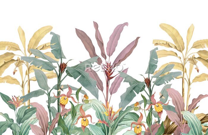 Papier peint  Plantes tropicales colorées sur fond blanc
