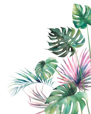 Plantes tropicales de formes et de couleurs variées