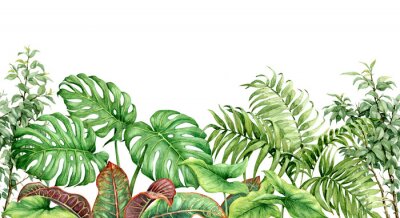 Plantes tropicales en aquarelle
