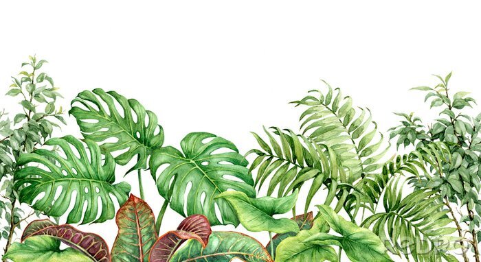 Papier peint  Plantes tropicales en aquarelle