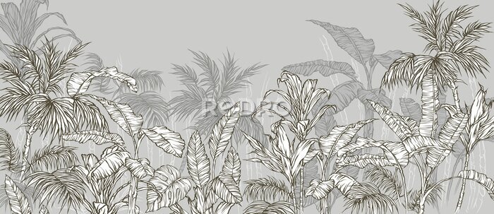 Papier peint  Plantes tropicales sur fond gris