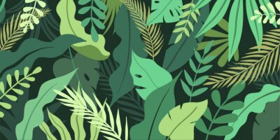 Papier peint  Plantes vertes graphiques