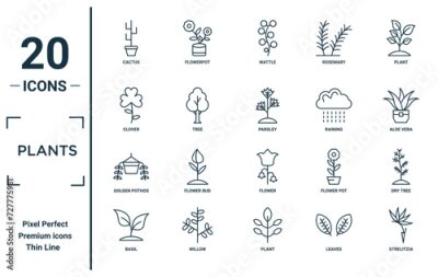 Papier peint  plants linear icon set. includes thin line cactus, clover, golden pothos, basil, strelitzia, parsley, dry tree icons for report, presentation, diagram, web design