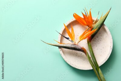 Papier peint  Plate with beautiful strelitzia flowers on turquoise background