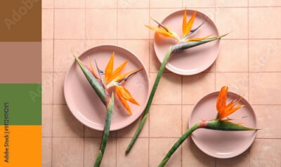 Papier peint  Plates with beautiful strelitzia flowers on beige tile background