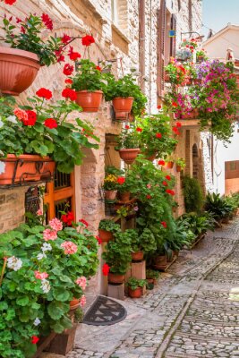 Plein, fleur, porche, petit, ville, Italie, ombrie