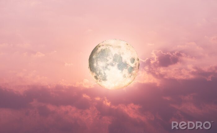 Papier peint  Pleine lune avec un ciel dans un dégradé de rose en arrière-plan