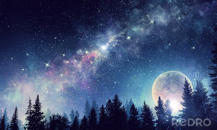 Papier peint  Pleine lune sur un ciel étoilé