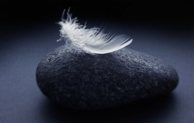 Plume blanche sur la pierre