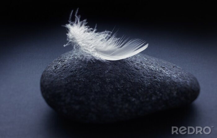 Papier peint  Plume blanche sur la pierre