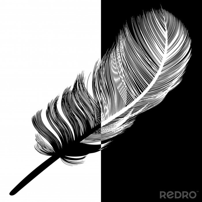 Papier peint  Plume en noir et blanc