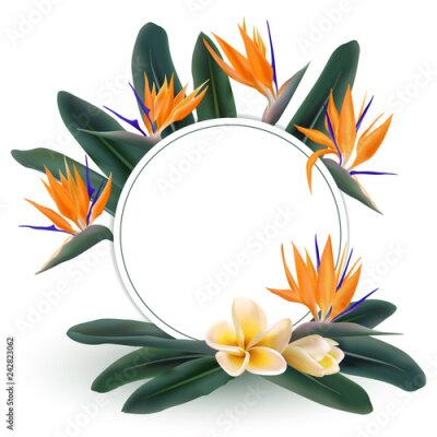 Papier peint  Plumeria et Strelitzia reginae fleurs et feuilles vertes vector autour de cadre. Cercle frontière avec des plantes tropicales - oiseau de paradis et fleur de franipanier. Modèle de carte avec cadre d'