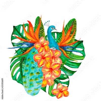 Papier peint  Plumeria, Strelitzia, Monstera, Peacock watercolor. Tropical leaves, exotic. Flower background design. For design, invitations