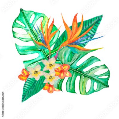 Papier peint  Plumeria, Strelitzia, Monstera watercolorTropical leaves, exotic, bouqet of tripical flowers and leaves. Floral design background.For design, invitations cards