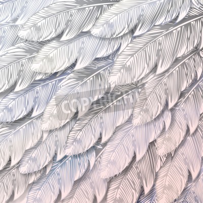 Papier peint  Plumes d'oiseaux d'une seule couleur