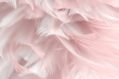 Papier peint  Plumes délicates dans des tons de rose