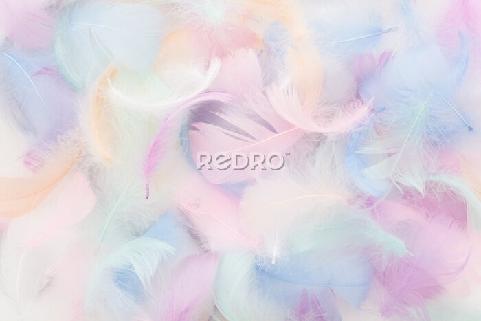 Papier peint  Plumes d’oiseaux en couleurs pastel