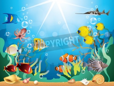 Papier peint  Poissons tropicaux et fond océanique