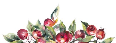 Papier peint  Pommes à l’aquarelle dans un style vintage sur fond blanc