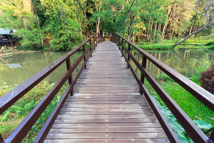 Papier peint  Pont 3d paysage de forêt