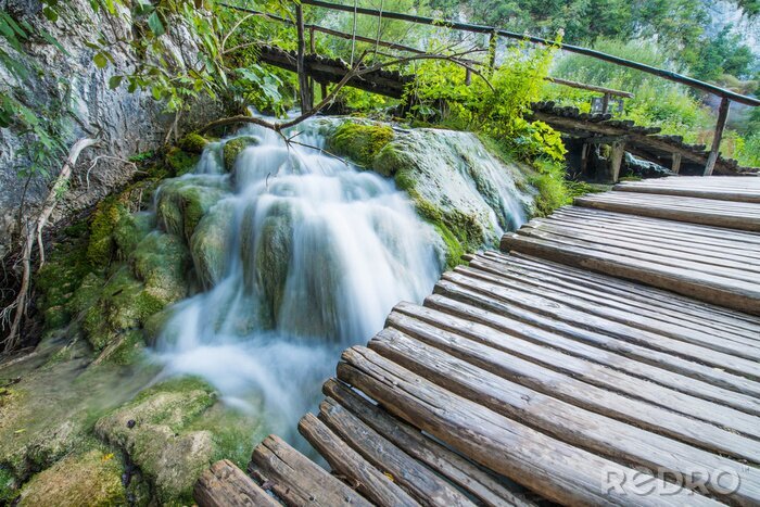 Papier peint  Pont cascade en forêt
