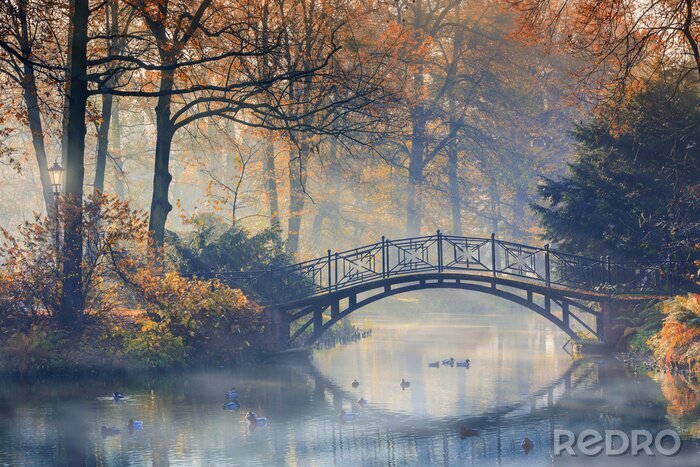 Papier peint  Pont dans le parc d'automne