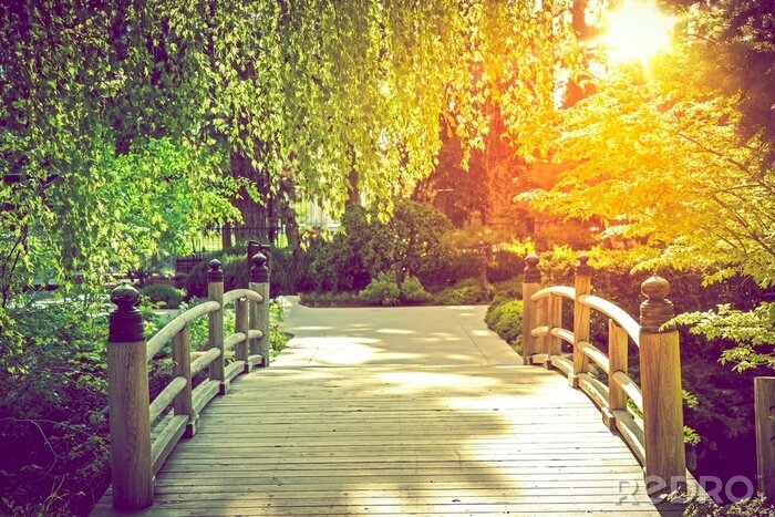 Papier peint  Pont dans un joli parc