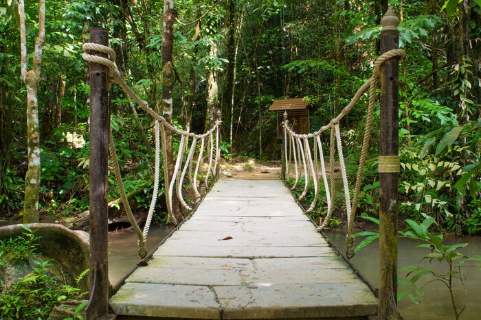 Papier peint  Pont de corde petite rivière