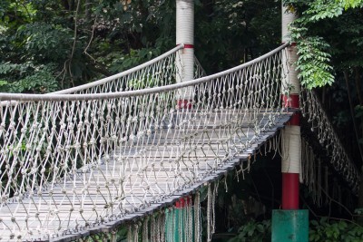 Papier peint  Pont de corde sur fond de forêt