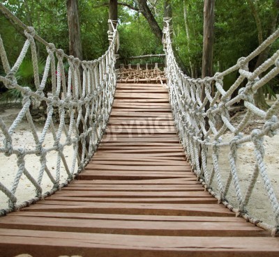 Papier peint  Pont de cordes dans la jungle
