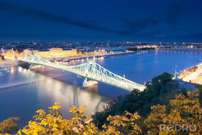 Papier peint  Pont de la Liberté illuminé
